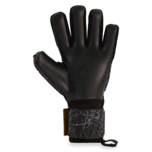 gladiator_sports_agadu_binnenkant